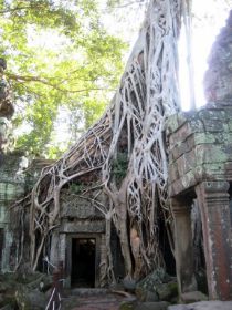 Angkor complex